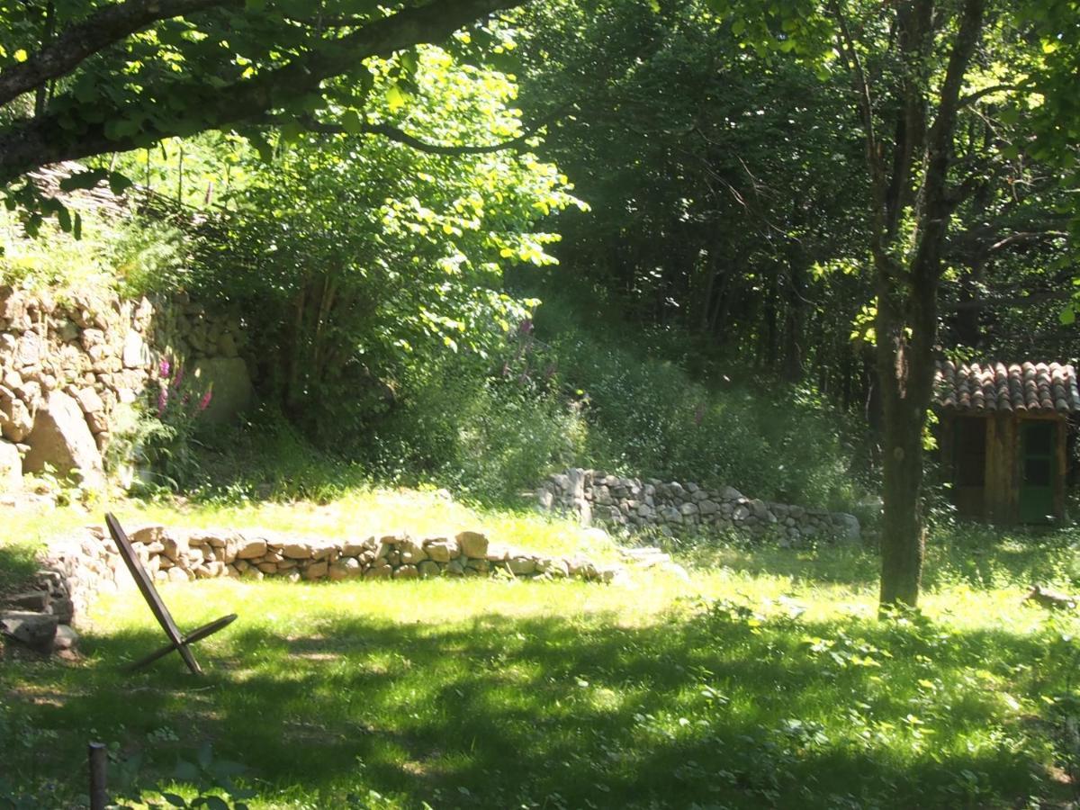 Burzet Grande Tente Tipi En Pleine Foret מראה חיצוני תמונה